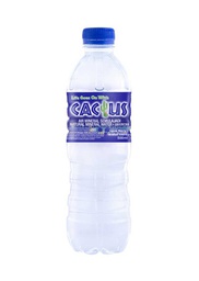 CACTUS MINERAL WATER